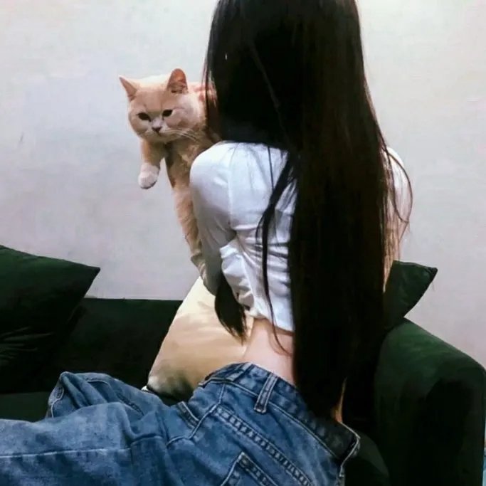 好莱坞队列 在线观看